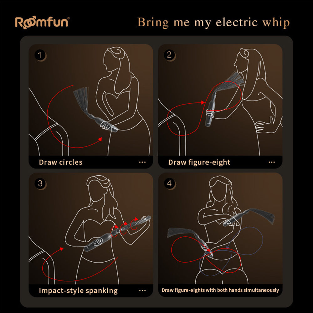 RoomFun BDSM Punishment Training Electric Whip Sextoy for Men and Women