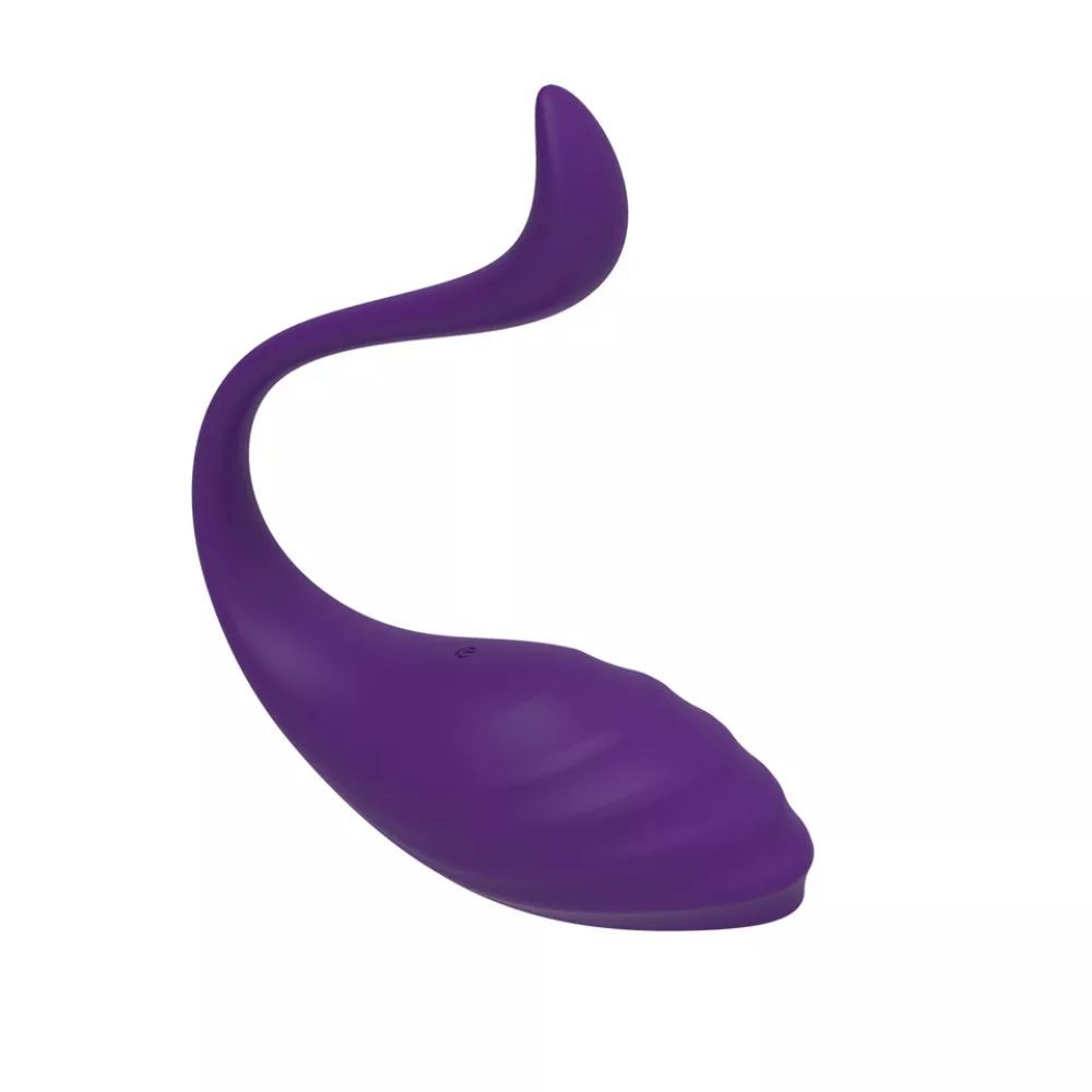 Nancy Long Distance App Controlled Toys for LDR Smart Vibrator