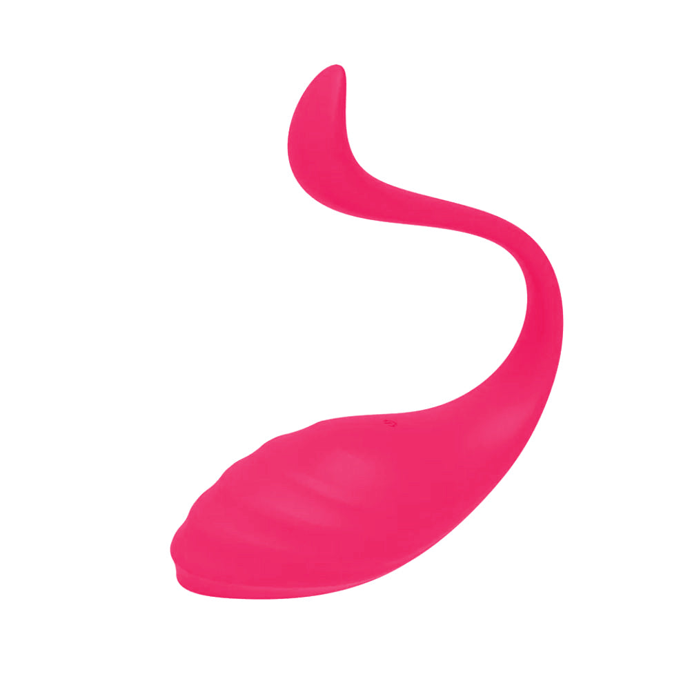 Nancy Long Distance App Controlled Toys for LDR Smart Vibrator