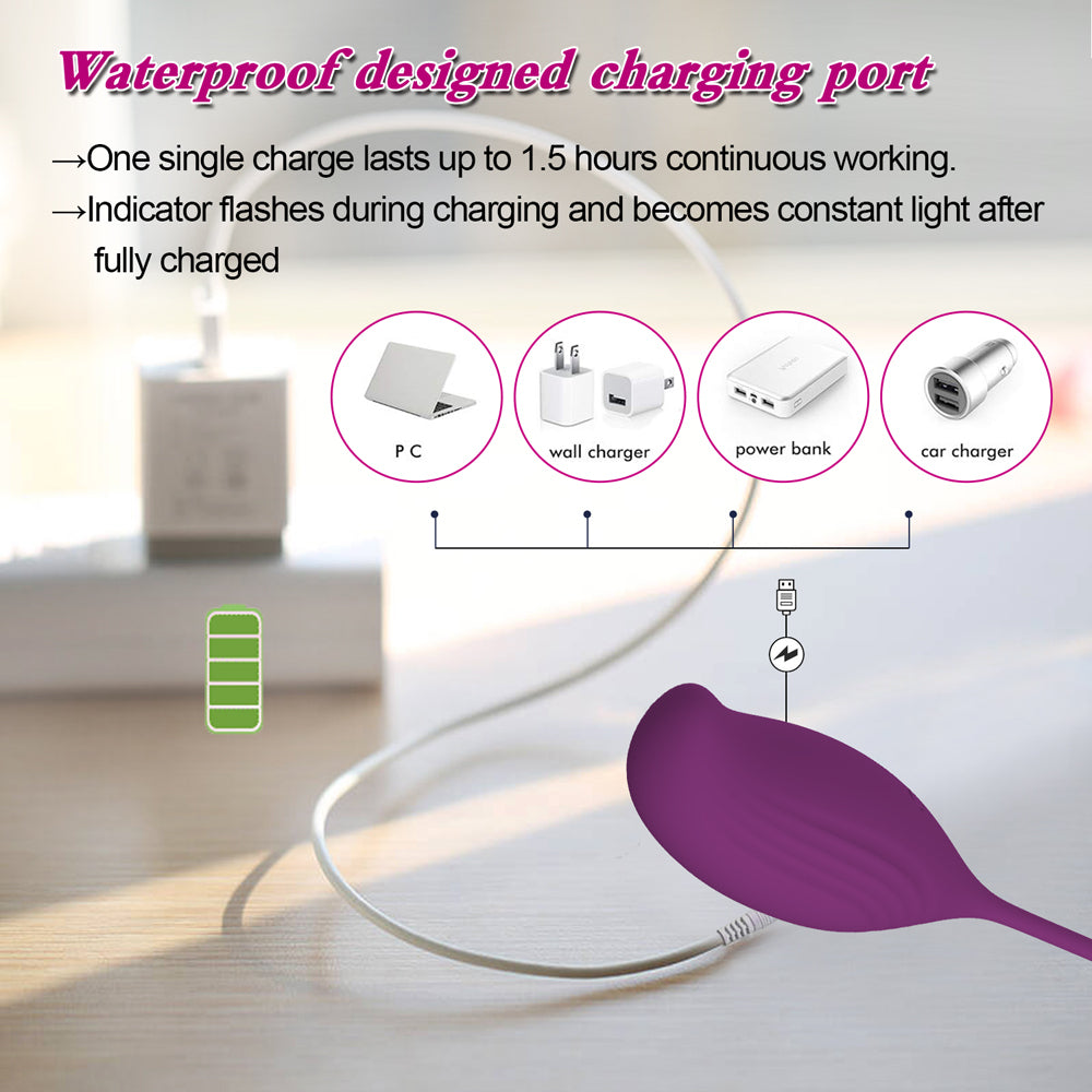 Marian Long Distance App Controlled Toys for LDR Smart Vibrator