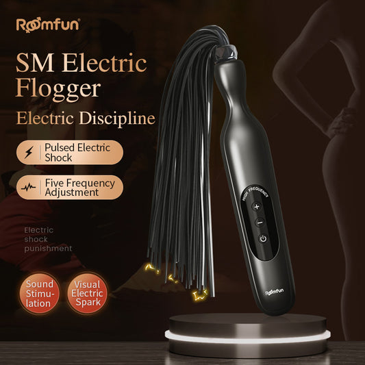 RoomFun BDSM Punishment Training Electric Whip Sextoy for Men and Women