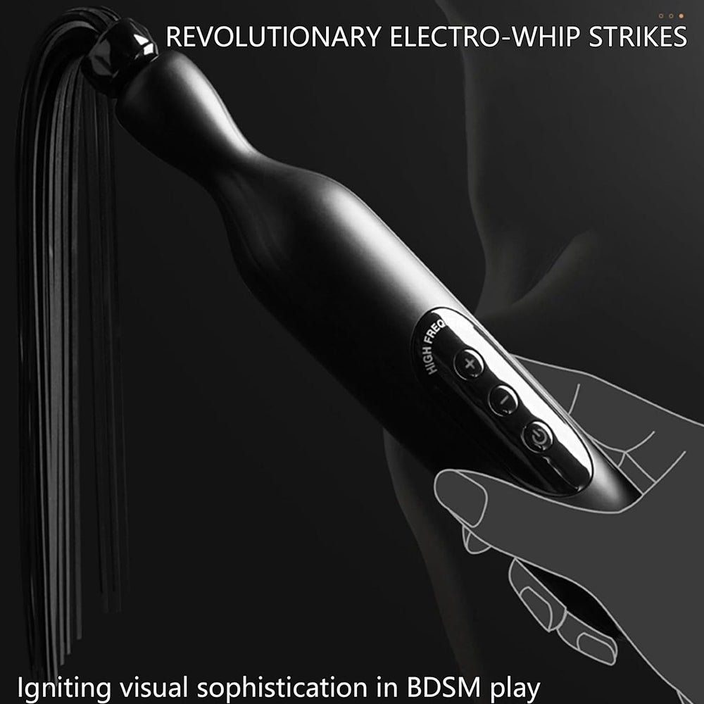RoomFun BDSM Punishment Training Electric Whip Sextoy for Men and Women