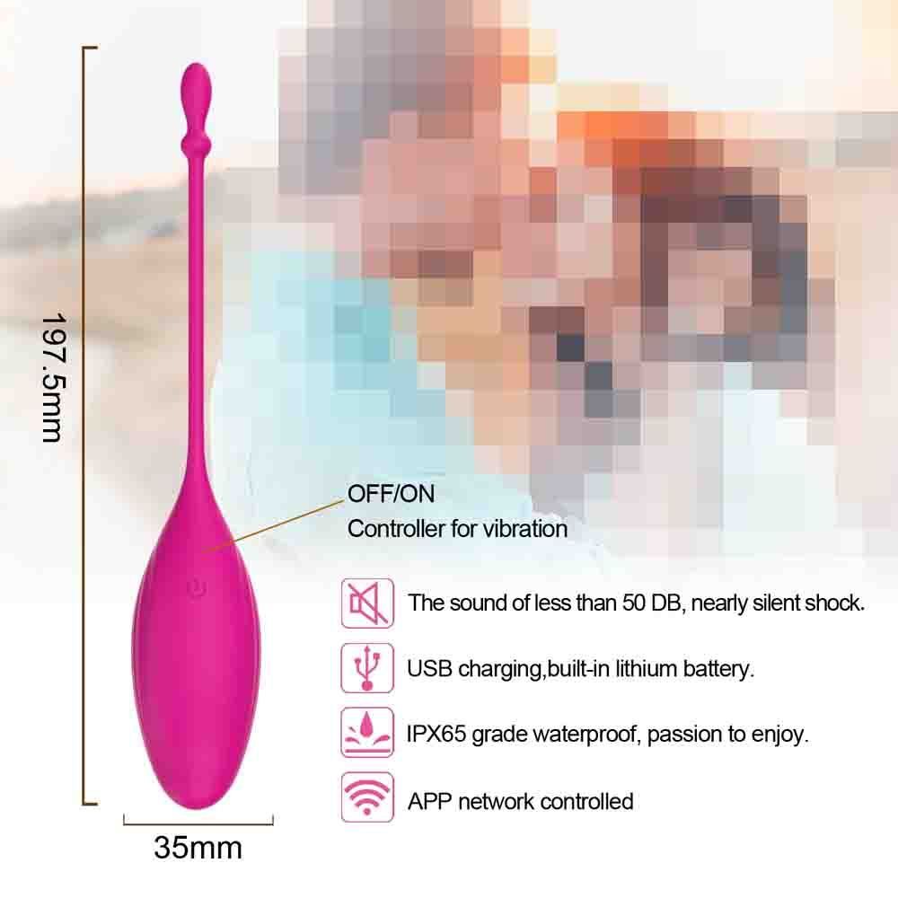 Marian Long Distance App Controlled Toys for LDR Smart Vibrator