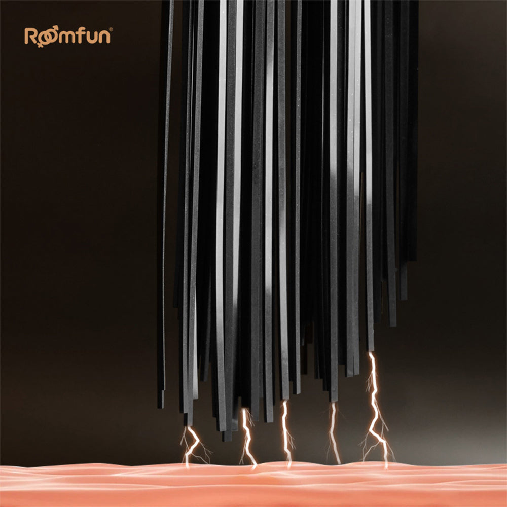 RoomFun BDSM Punishment Training Electric Whip Sextoy for Men and Women