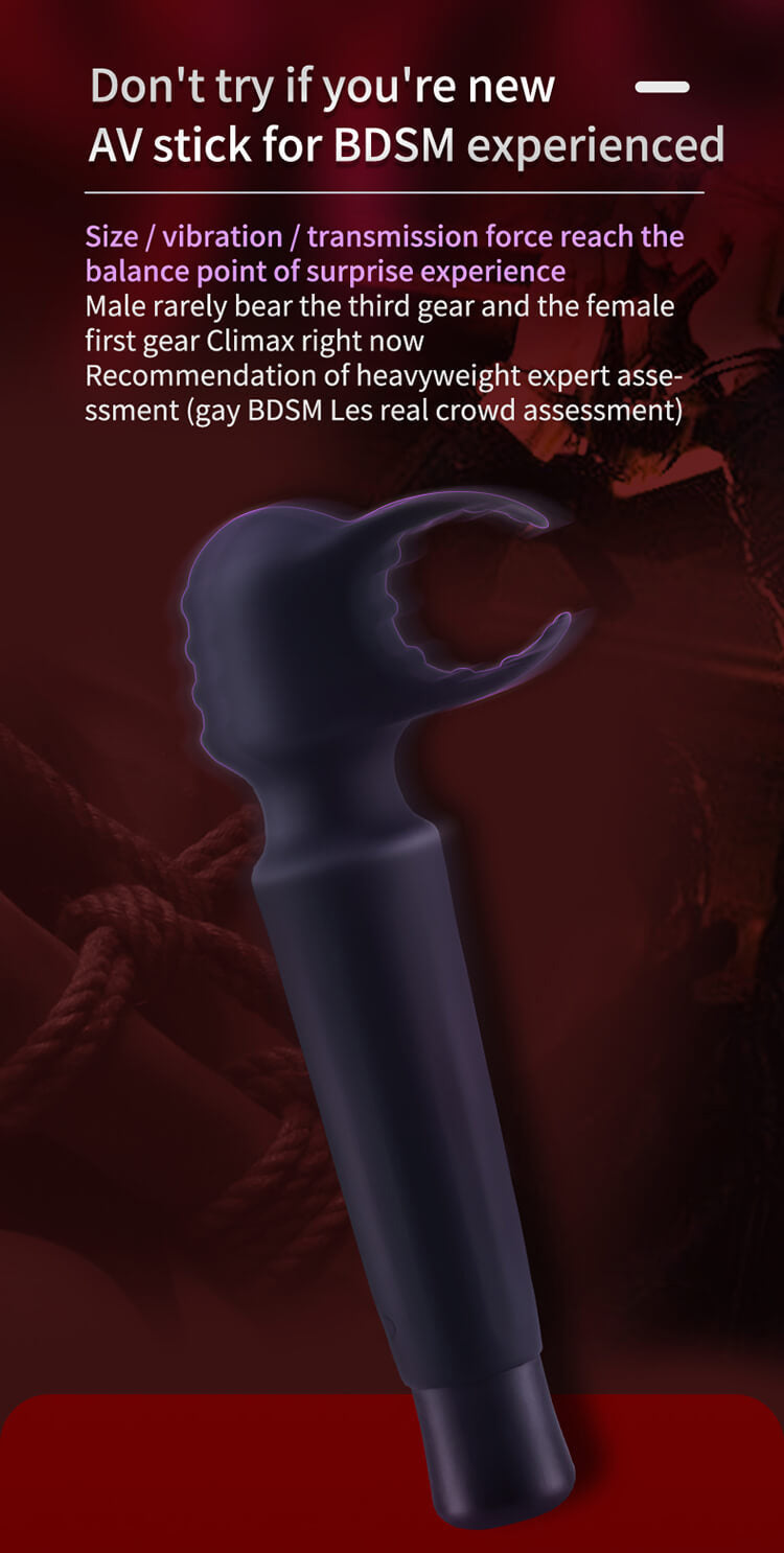 Roomfun Forced Orgasm BDSM Massage Vibrator Sextoy for Men