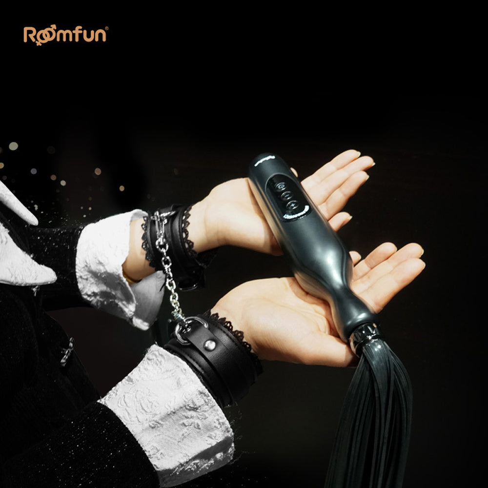 RoomFun BDSM Punishment Training Electric Whip Sextoy for Men and Women