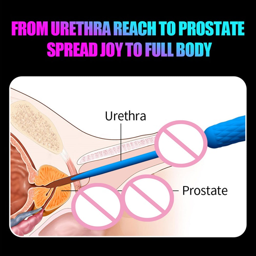 Leten Urethral Vibrator 7 Frequency Urethral Plug Male Masturbation Prostate Silicone Penis Sextoy for Men
