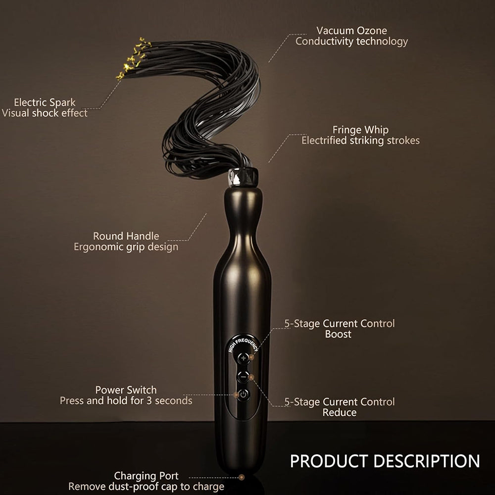RoomFun BDSM Punishment Training Electric Whip Sextoy for Men and Women