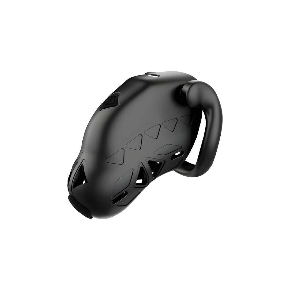 Lockink App Controlled Timed Estim Chastity Cage