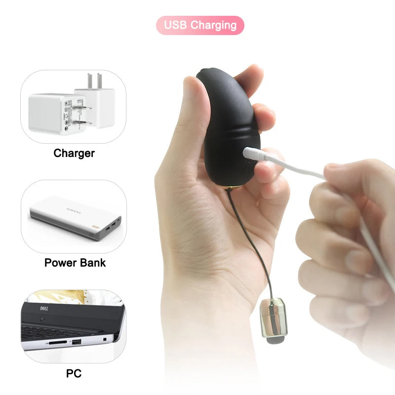 Love Egg Wearable Underwear Wireless Remote Control Vibrator G-Spot Massager Female