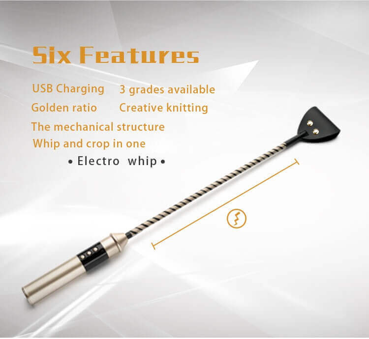 RoomFun Premium Bondage Whip with ESTIM Electric Shock S&M Toy 100% Faux Leather Bondage BDSM Sextoy For Men Women and Couples