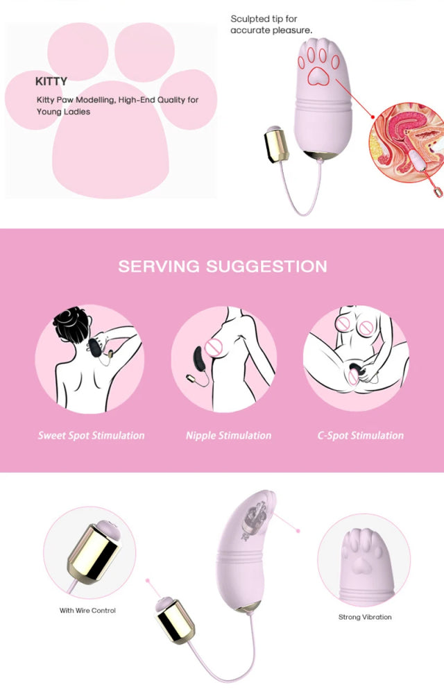 Love Egg Wearable Underwear Wireless Remote Control Vibrator G-Spot Massager Female