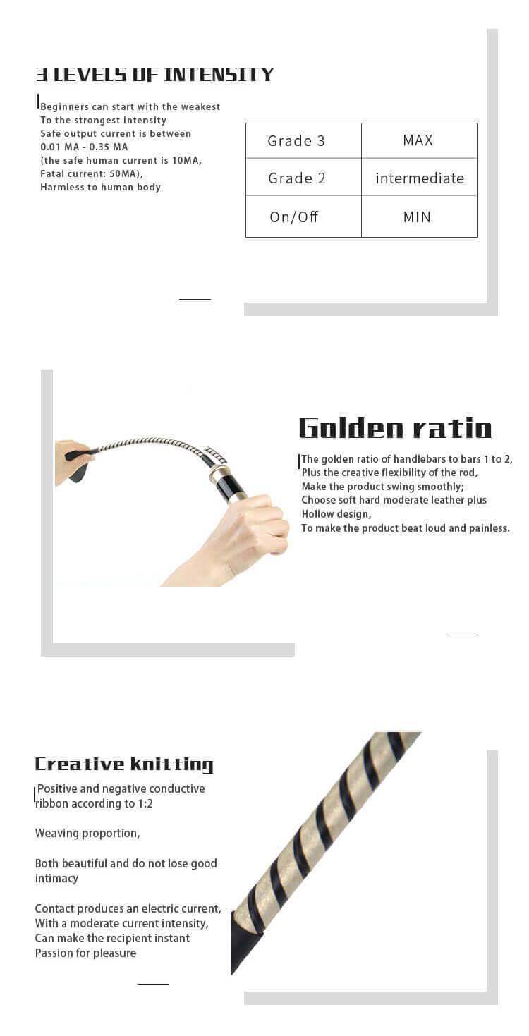 RoomFun Premium Bondage Whip with ESTIM Electric Shock S&M Toy 100% Faux Leather Bondage BDSM Sextoy For Men Women and Couples