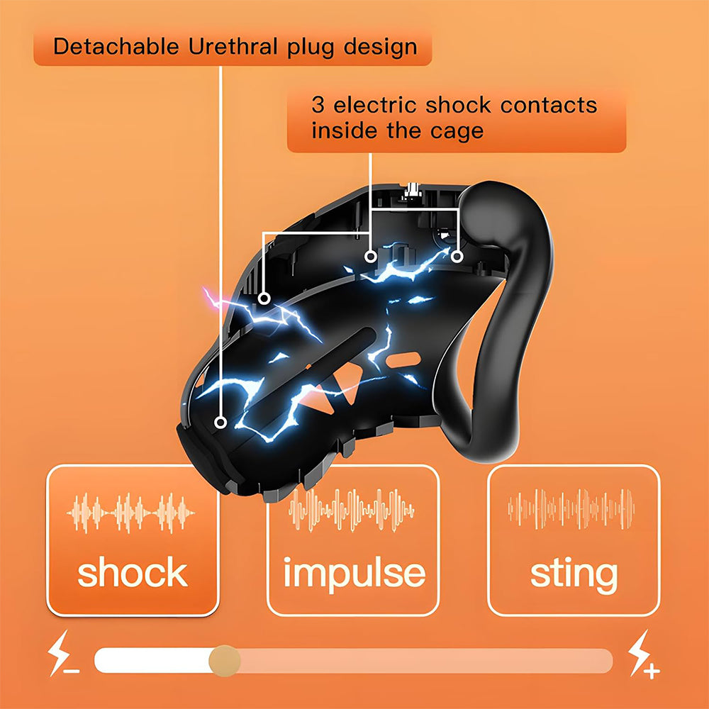 Lockink App Controlled Timed Estim Chastity Cage